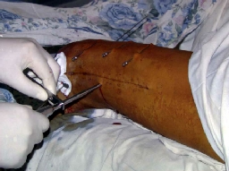 �������� ��� ����������