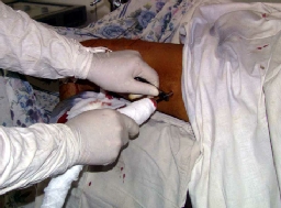 �������� ��� ����������